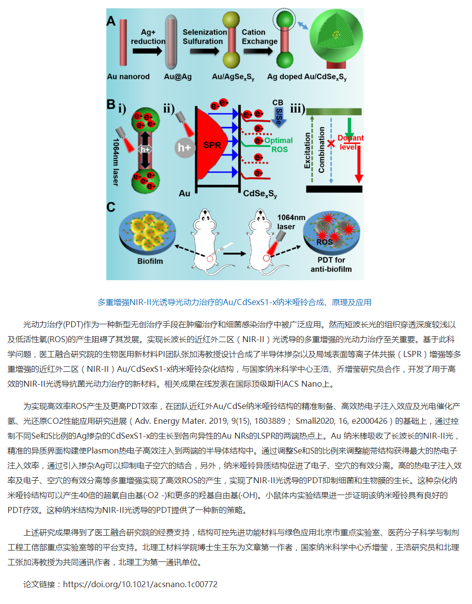 BWIN·必赢在等离子体掺杂半导体纳米晶增强光动力治疗取得进展.png